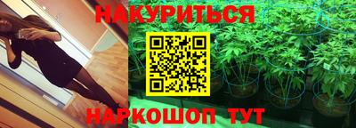 гидра Кимры