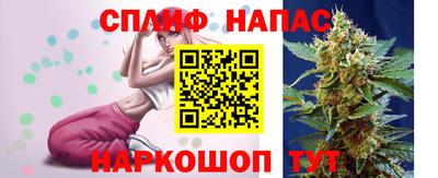 гидра Кимры