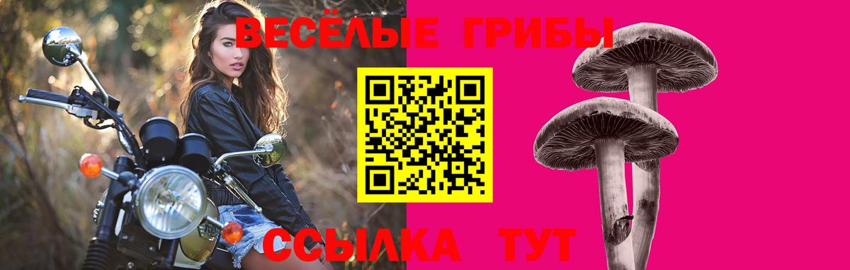Галлюциногенные грибы Psilocybine cubensis  Вход с VPN  Галлюциногенные грибы мухоморы  Краснокаменск 